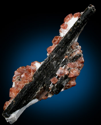 Rhodochrosite and Aegirine from Mont Saint-Hilaire, Québec, Canada