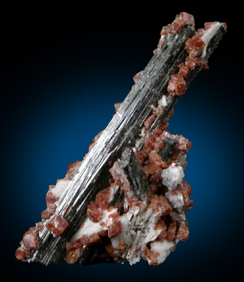 Rhodochrosite and Aegirine from Mont Saint-Hilaire, Qubec, Canada