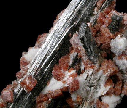 Rhodochrosite and Aegirine from Mont Saint-Hilaire, Qubec, Canada