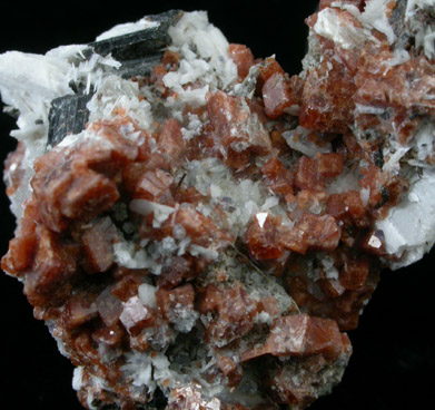 Rhodochrosite, Albite and Aegirine from Mont Saint-Hilaire, Québec, Canada