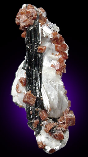 Rhodochrosite and Aegirine from Mont Saint-Hilaire, Qubec, Canada