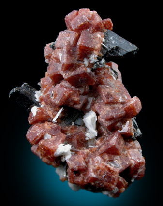 Rhodochrosite and Aegirine from Mont Saint-Hilaire, Qubec, Canada