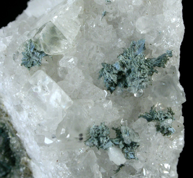 Babingtonite on Quartz from Prospect Park Quarry, Prospect Park, Passaic County, New Jersey