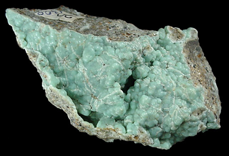 Fluorapatite var. Staffelite from Kovdor massif, Kola Peninsula, Murmanskaja Oblast', Russia