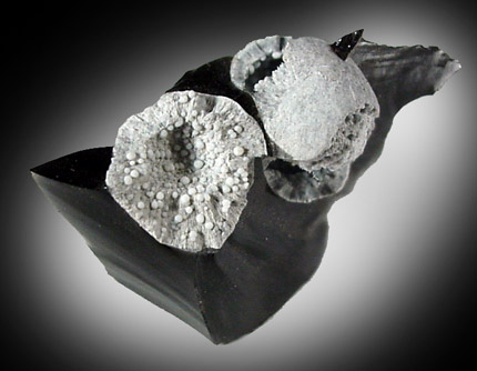 Fayalite in Obsidian from Obsidian Ridge, Inyo County, California