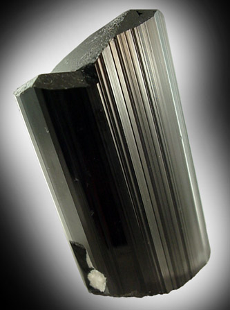 Schorl Tourmaline from Pech, Nuristan, Kunar, Afghanistan