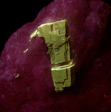 Phlogopite from Sar-e-Sang, Kokscha Valley, Badakshan, Afghanistan