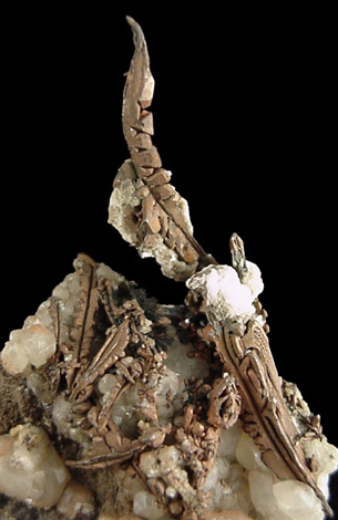 Copper on Calcite from Keweenaw Peninsula, Lake Superior, Michigan