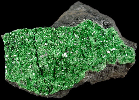 Uvarovite Garnet from Saranovskoye Mine, Sarany, Permskaya Oblast', Ural Mountains, Russia (Type Locality for Uvarovite)