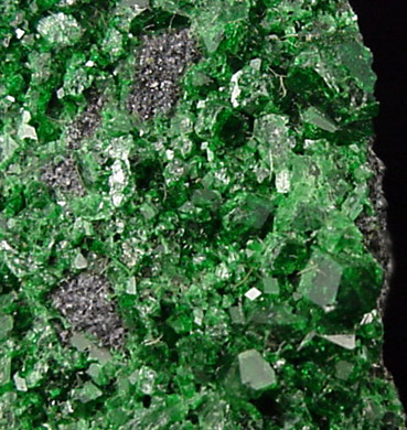 Uvarovite Garnet from Saranovskoye Mine, Sarany, Permskaya Oblast', Ural Mountains, Russia (Type Locality for Uvarovite)