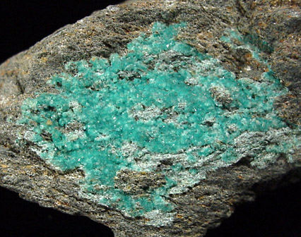 Turquoise Crystals from Bishop Mine, Lynch Station, Campbell County, Virginia
