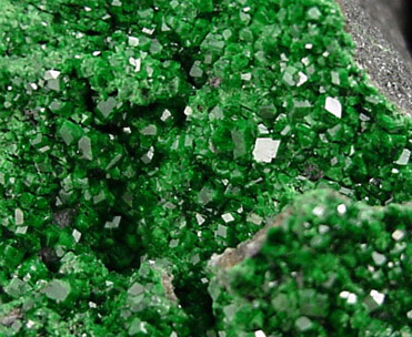 Uvarovite Garnet from Saranovskoye Mine, Sarany, Permskaya Oblast', Ural Mountains, Russia (Type Locality for Uvarovite)