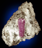 Corundum var. Ruby from Mysuru (formerly Mysore), Karnataka, India