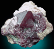 Cuprite on Plancheite from Dikuluwe Mine, 155 WNW of Lubumbashi, Katanga Copperbelt, Lualaba Province, Democratic Republic of the Congo