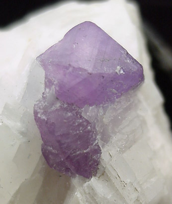 Corundum var. Sapphire in Calcite from Hunza Valley, Northern Territories, Pakistan