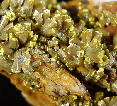 Pyromorphite from Mine La Farge, Coureges, Ussels, France