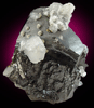 Sphalerite var. Marmatite with Calcite from Stari Trg Mine, Trepca, Serbia