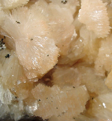 Thomsonite from River Nizhnyaya Tunguska, Siberia, Russia