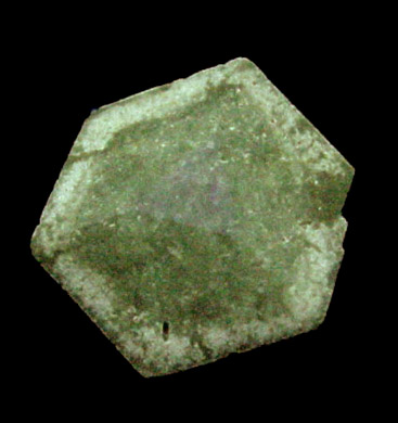 Uvite from Brumado District, Serra das guas, Bahia, Brazil