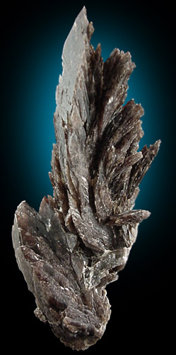 Axinite-(Fe) from Dalnegorsk, Primorskiy Kray, Russia