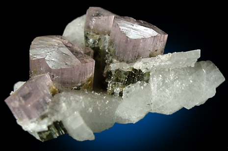 Elbaite Tourmaline in cleavelandite from Stak Nala, Skardu Road, Baltistan, Gilgit-Baltistan, Pakistan