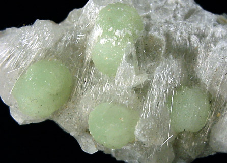 Natrolite, Prehnite, Calcite from Upper New Street Quarry, Paterson, Passaic County, New Jersey