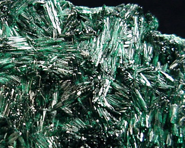 Atacamite from Mina Farola, Copiapo, Atacama Desert, Chile (Type Locality for Atacamite)