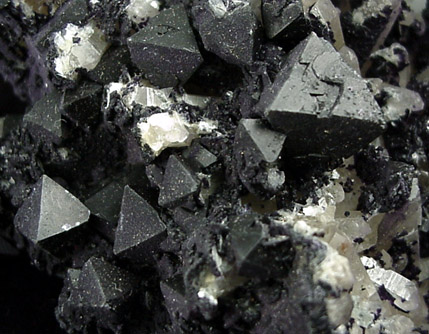 Fluorite on Quartz from Kara Oba (Dzhambul), Betpakdala Desert, Karaganda Oblast', Kazakhstan