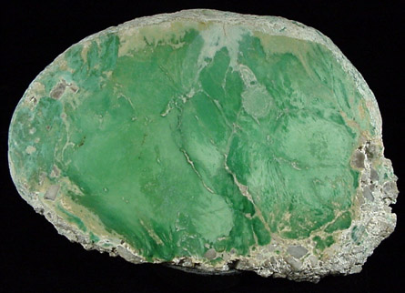 Variscite from Utahlite Hill, 5.80 km north of Lucin, Box Elder County, Utah