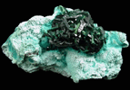 Malachite on Chrysocolla from Mashamba West Mine, 13 km west of Kolwezi, Katanga Copperbelt, Lualaba Province, Democratic Republic of the Congo