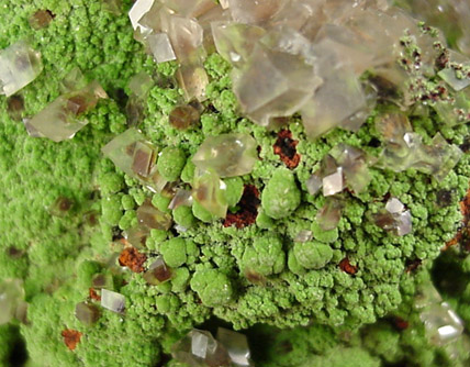 Conichalcite from Mina Ojuela, Mapimi, Durango, Mexico