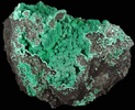 Malachite from Morenci Mine, Clifton District, Greenlee County, Arizona