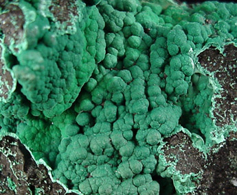 Malachite from Morenci Mine, Clifton District, Greenlee County, Arizona