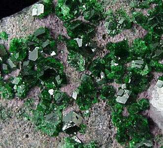 Uvarovite Garnet from Saranovskoye Mine, Sarany, Permskaya Oblast', Ural Mountains, Russia (Type Locality for Uvarovite)