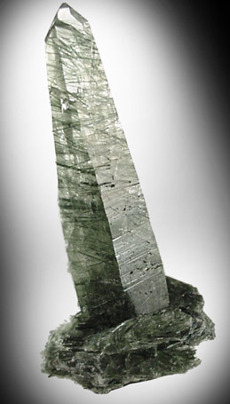 Actinolite and Quartz from Alchuri, Shigar Valley, Skardu District, Baltistan, Gilgit-Baltistan, Pakistan