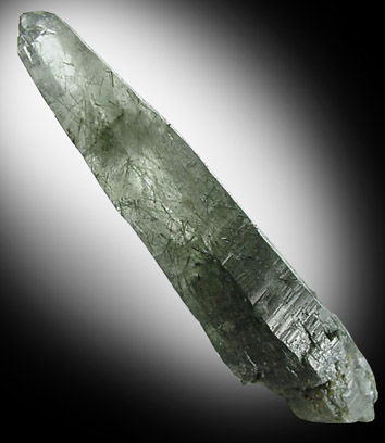 Actinolite and Quartz from Alchuri, Shigar Valley, Skardu District, Baltistan, Gilgit-Baltistan, Pakistan