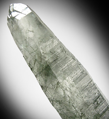 Actinolite and Quartz from Alchuri, Shigar Valley, Skardu District, Baltistan, Gilgit-Baltistan, Pakistan