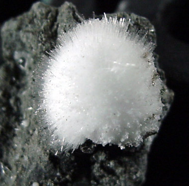 Natrolite from Millington Quarry, Bernards Township, Somerset County, New Jersey