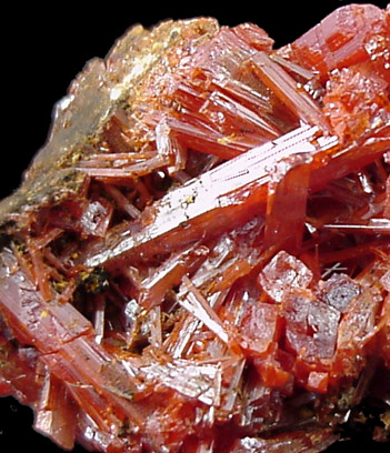 Crocoite from Dundas, Tasmania, Australia