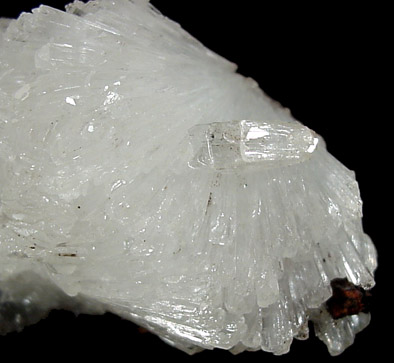 Hemimorphite from Mapimi District, Durango, Mexico