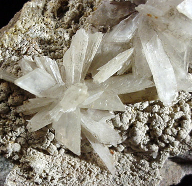 Gypsum from Meronitz, Bohemia, Czech Republic