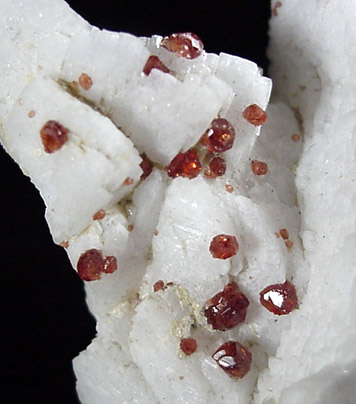 Spessartine Garnet on Albite from Shengus, Skardu Road, Gilgit, Pakistan