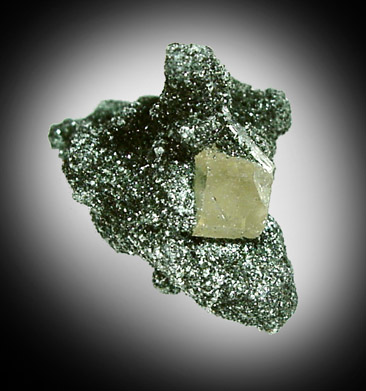 Fluorapatite in Chlorite from Warren Bros. Quarry, Acushnet, Massachusetts