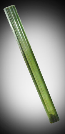 Elbaite Tourmaline from Gillette Quarry, Haddam Neck, Middlesex County, Connecticut