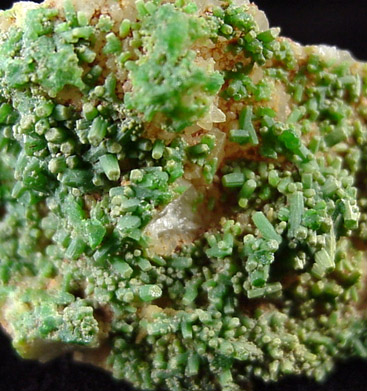 Pyromorphite from Manhan Lead Mines, Loudville District, 3 km northwest of Easthampton, Hampshire County, Massachusetts