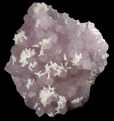 Calcite on Amethyst Quartz from Mina Sirena, Guanajuato, Mexico