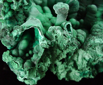 Malachite from Kalukuluku Mine, Lubumbashi, Katanga Copperbelt, Haut-Katanga Province, Democratic Republic of the Congo