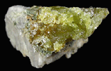 Powellite from Jardinera #1 Mine, Inca de Oro, Atacama, Chile