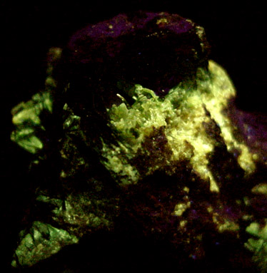 Szenicsite from Jardinera #1 Mine, Inca de Oro, Atacama, Chile (Type Locality for Szenicsite)