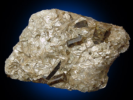 Dravite Tourmaline from Dobrawa, Carinthia, Austria (Type Locality for Dravite)
